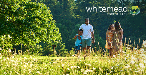 Whitemead Forest Park Flash Sale 2 (Leaderboard ad)