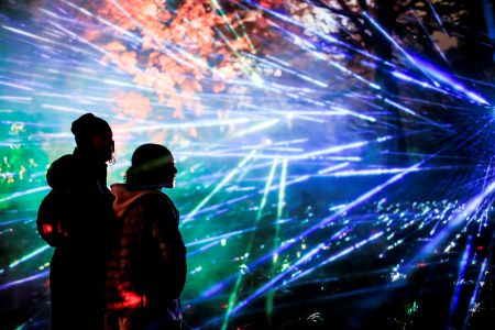 Christmas Stourhead Light Trails 2026