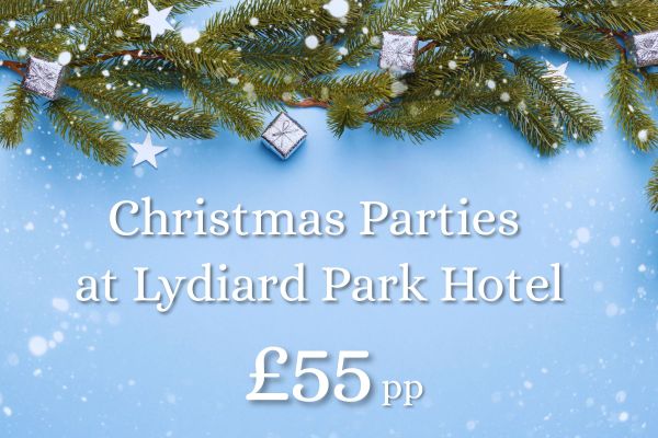 Christmas Parties at Lydiard Park
