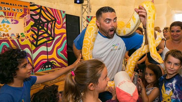 Mayhem of Mad4Animals