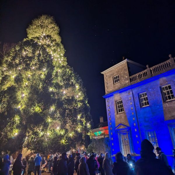 Lydiard Park Christmas Light Switch On