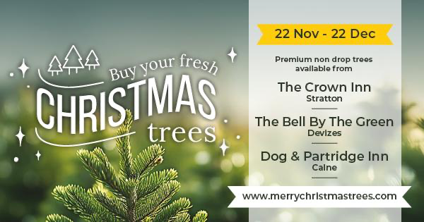 Kingsley Smythe Fresh Christmas Trees