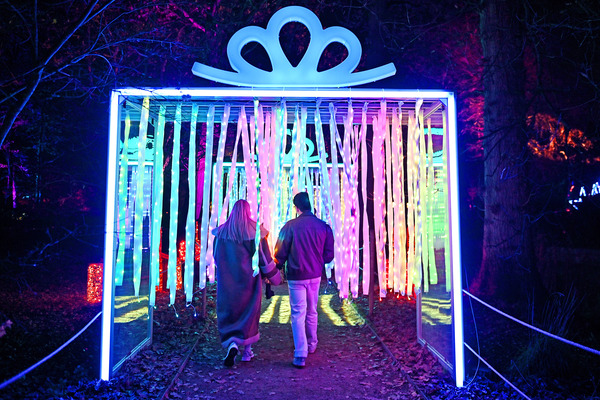 Christmas at Westonbirt