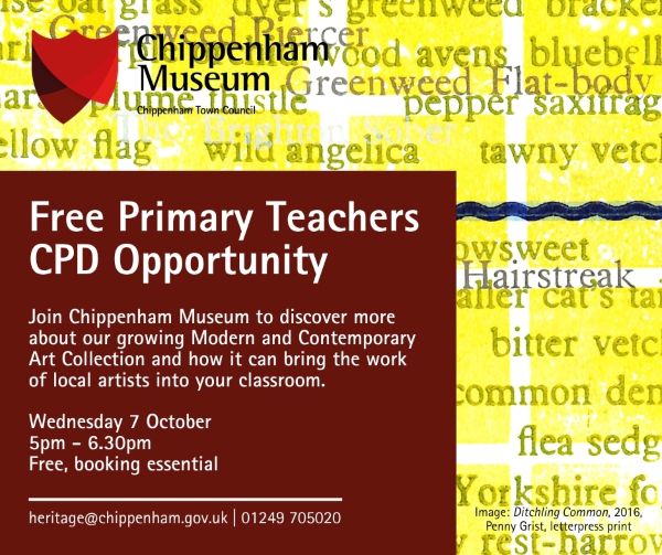 Free Primary Teachers CPD Opportunity