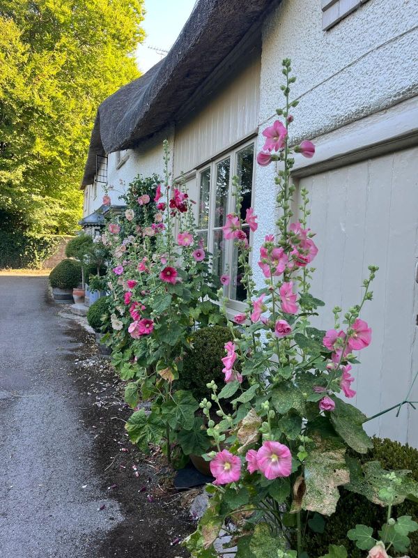VIDEO: Spend a Day in Marlborough