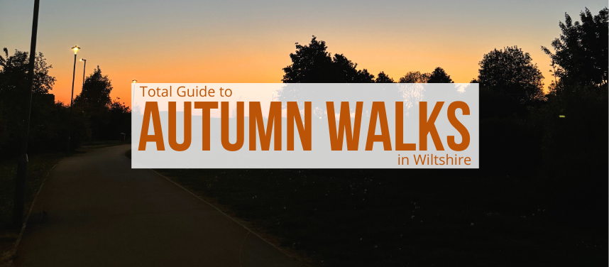 Promo Banner: Autumn Walks