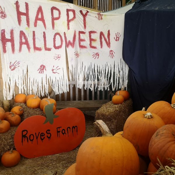 Client Image: Roves Farm Halloween