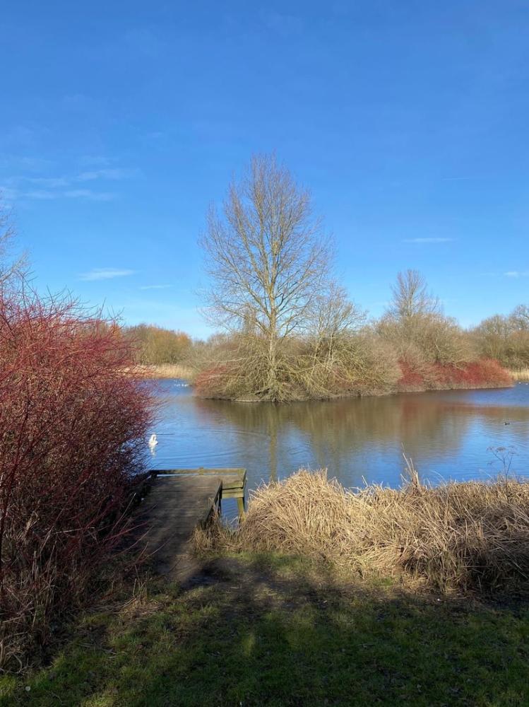 Coate Water Country Park