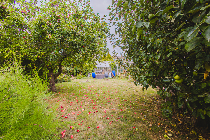 Avocado Property POTM August