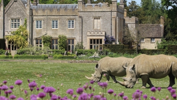 Cotswold Wildlife Park & Gardens - Special Offer