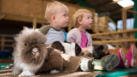 Visit a Farm