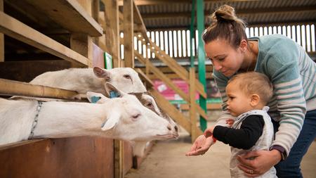 Visit a Farm