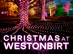 Christmas at Westonbirt