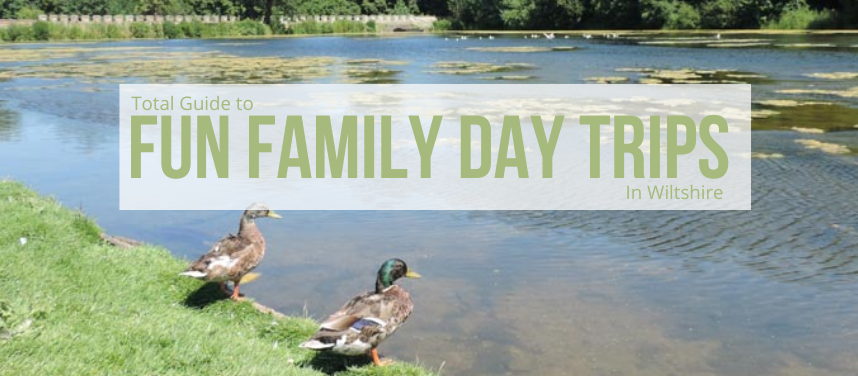Fun Family Day Trips in Wiltshire