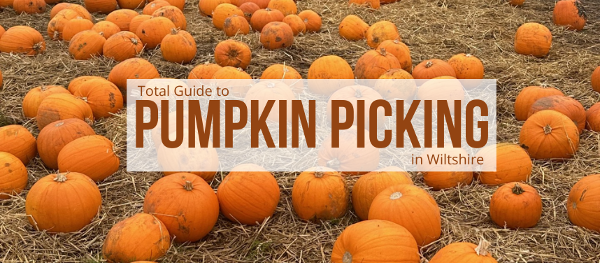 The Best Pumpkin Picking Places In Wiltshire