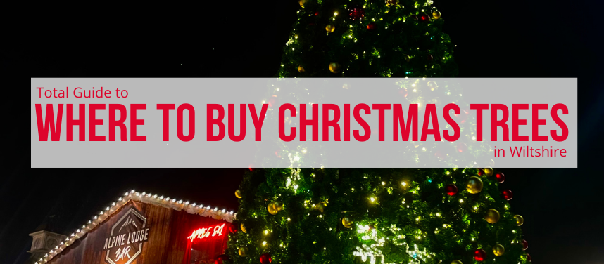 Where to Buy Christmas Trees in Swindon & Wiltshire 2025 