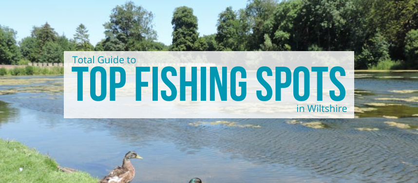 Fishing in Wiltshire | Top Spots & Tackle Shops in Wiltshire