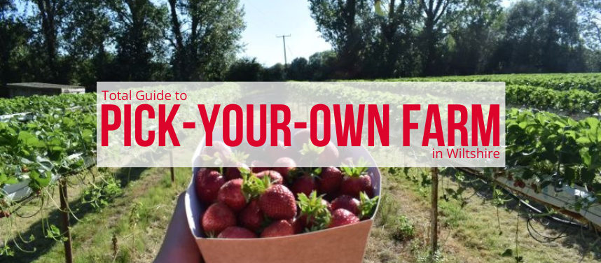 Pick-Your-Own Farms In and Around Swindon