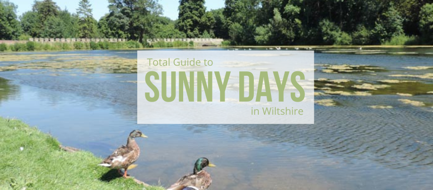 Sunny Days in Wiltshire