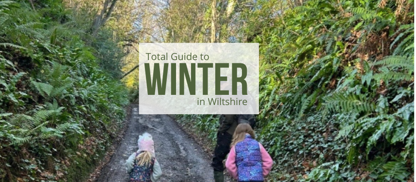 Winter in Wiltshire
